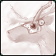 Caribooooooooooo Thumbnail